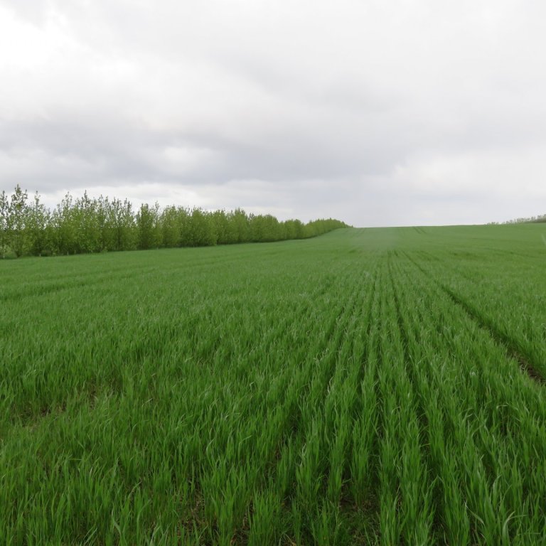 Afsláttur hjá Efnagreiningu ehf á Hvanneyri fyrir „pakka“bændur hjá RML