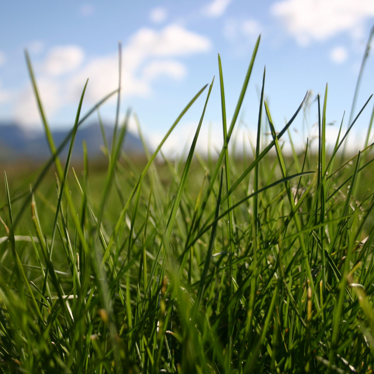 Úrslit úr getraun RML í Hofi 3. mars