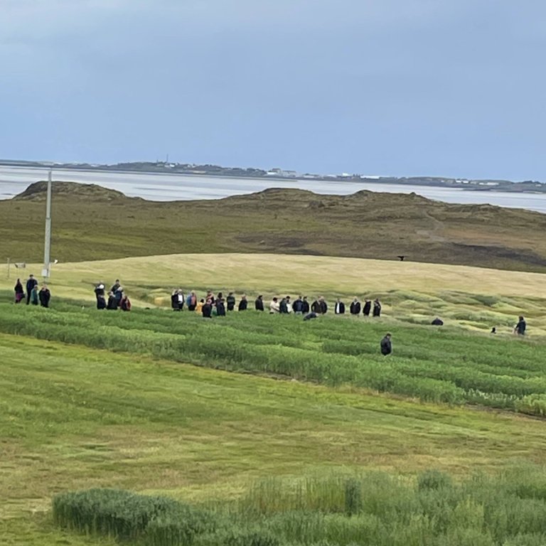 Heimsóknir ráðunauta í kornakra í júní 2024