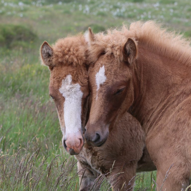 Nýtt skýrsluhaldsár hefst 1. apríl