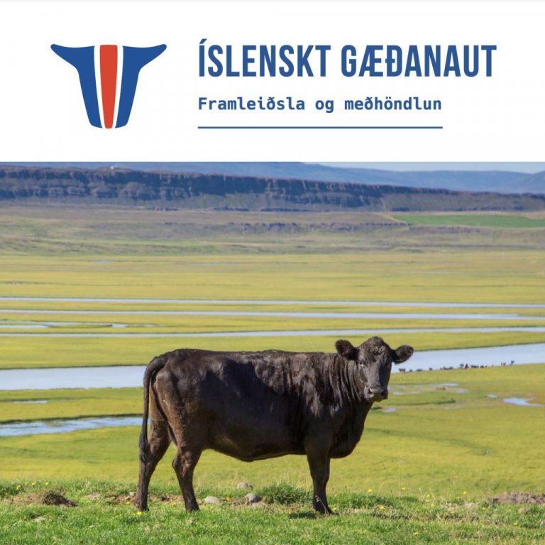 Nýr bæklingur um framleiðslu og meðhöndlun nautakjöts