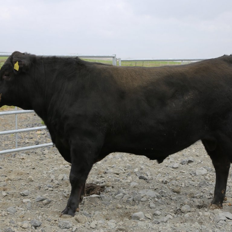 Jóakim 21403. Mynd: Halla Eygló Sveinsdóttir