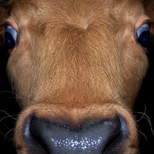 Fjárfestingastuðningur – umsóknarfrestur