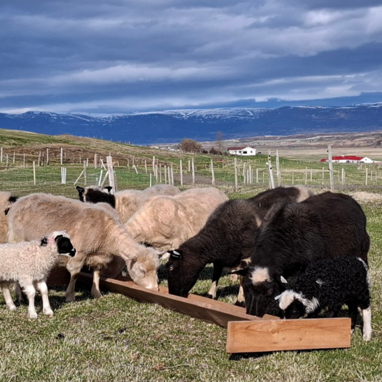 Þokugensgreiningar og forskráning