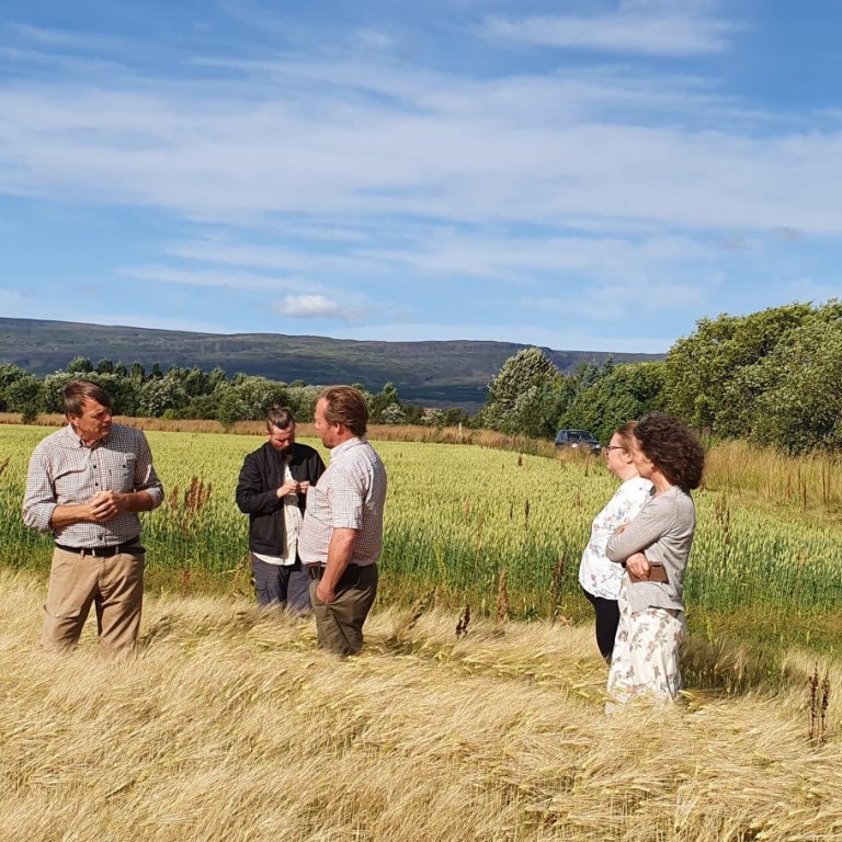 Málþing um lífræna ræktun í framkvæmd