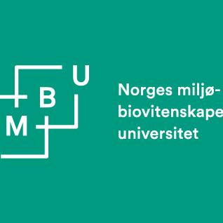 Norðmenn mæla nú með því að kvígur beri 22ja mánaða