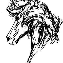 Fimmtán bú tilnefnd sem ræktunarbú ársins 2022