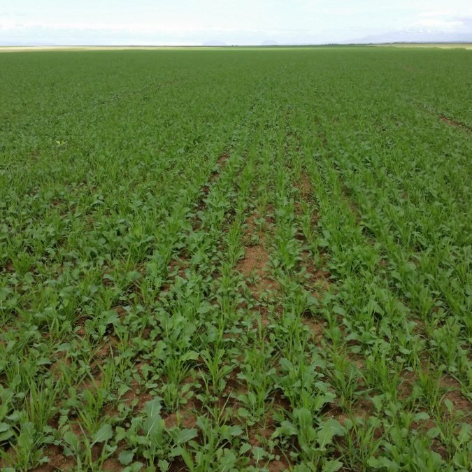 Jarðrækt – þjónusta og ráðgjöf