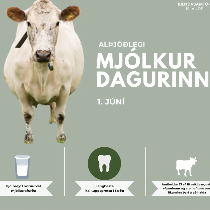 Til hamingju með daginn!