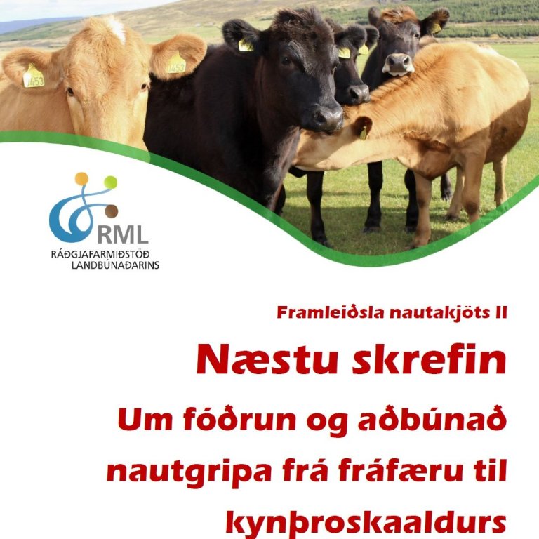 Bæklingur um fóðrun og aðbúnað kálfa til kynþroska
