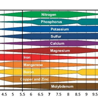 Myndin sýnir aðgengi næringarefna eftir sýrustigi í jarðvegi.