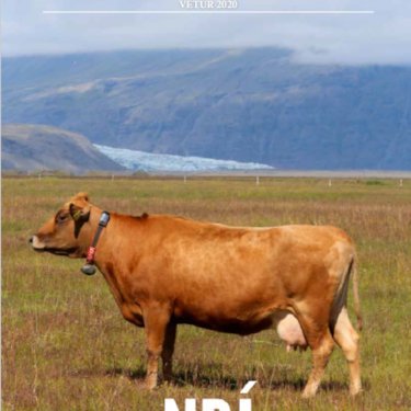 Ný nautaskrá komin út