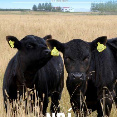 Ný nautaskrá að koma út