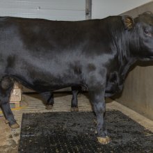 Valur-ET 19402. Mynd: HES