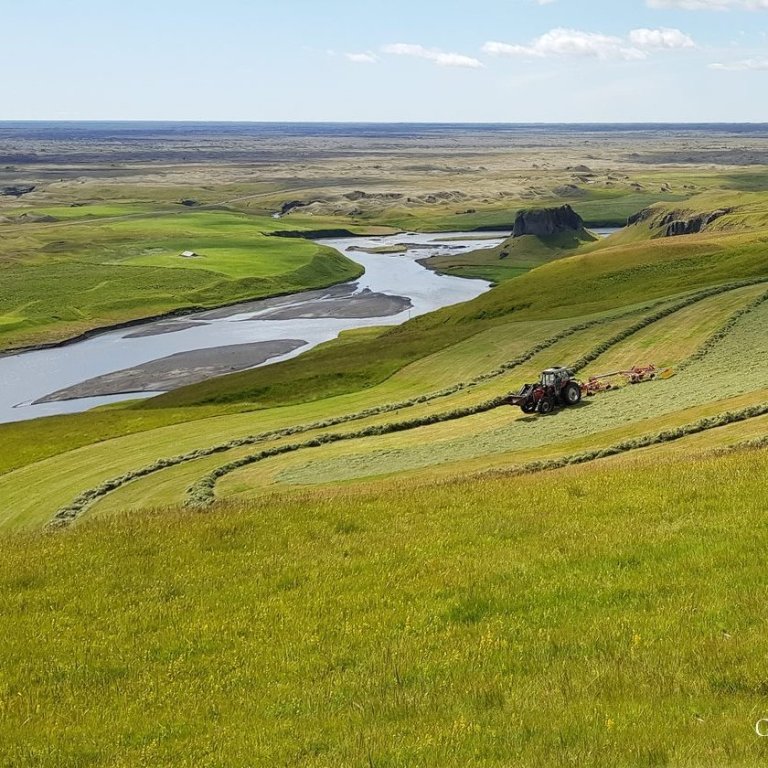 Auglýst eftir nýjum þátttakendum í nautgriparækt, sauðfjárrækt og útiræktun grænmetis.