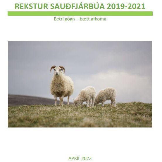 Rekstur sauðfjárbúa 2019-2021