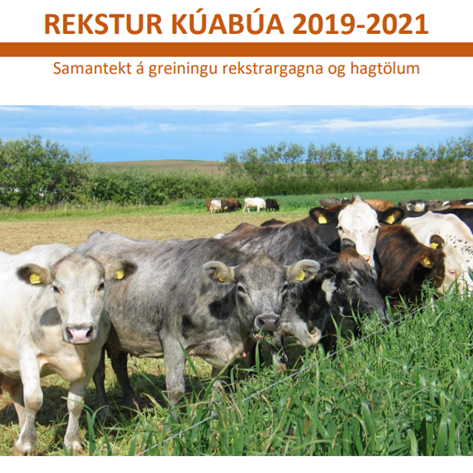 Rekstur kúabúa 2019-2021 - Netfundur