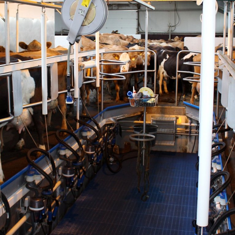 Fjárfestingastuðningur - umsóknarfrestur