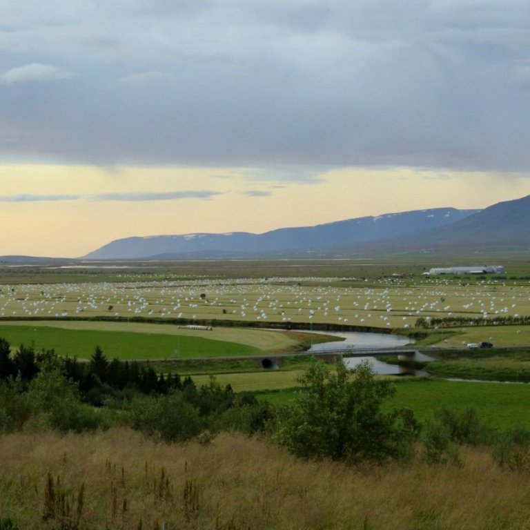 Loftslagsvænn landbúnaður