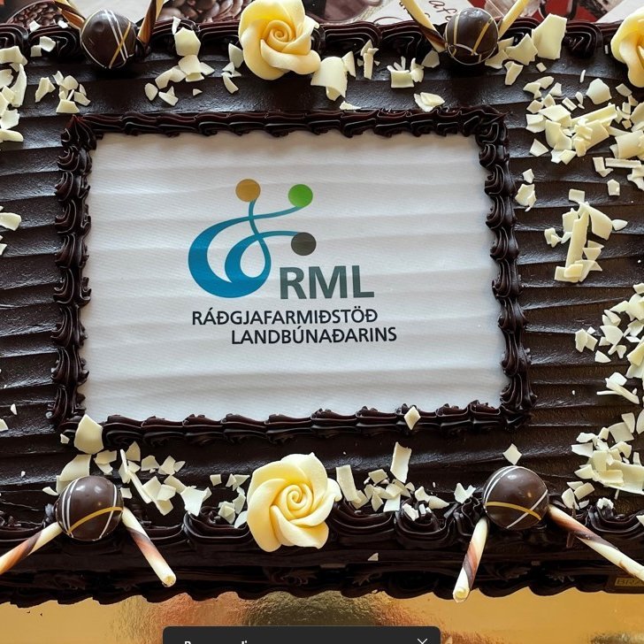 Afmæliskaffi RML á Selfossi miðvikudaginn 10. maí