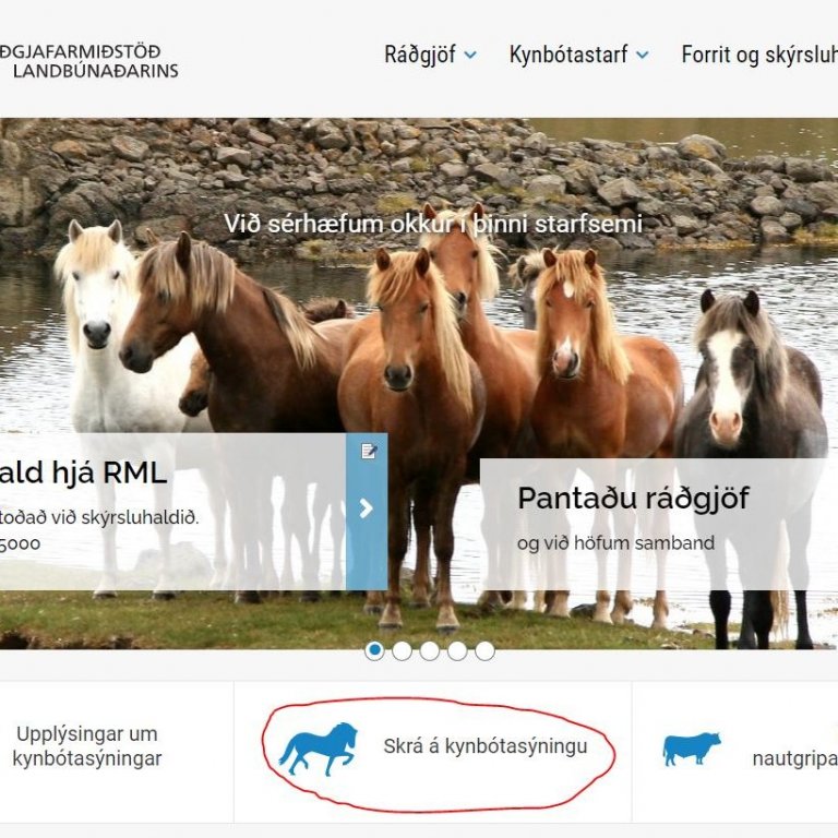 Opnað verður á skráningar á kynbótasýningar vorsins 3. maí.