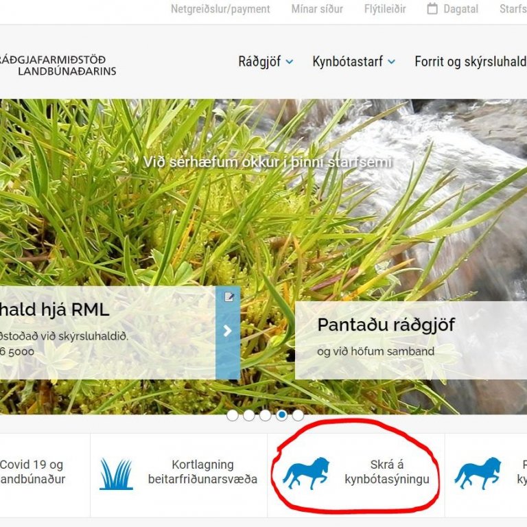 Skráningar á miðsumarssýningar