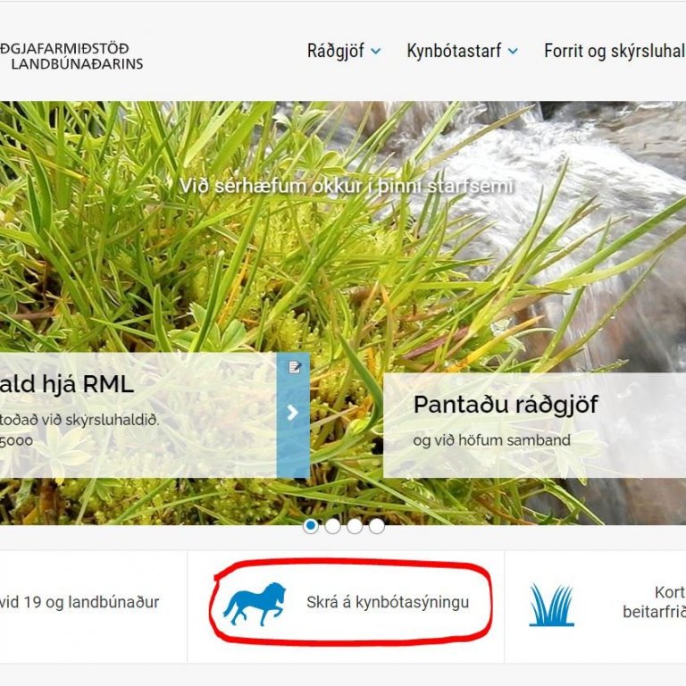 Kynbótasýningar - Minnum á síðasta skráningardag 14. maí