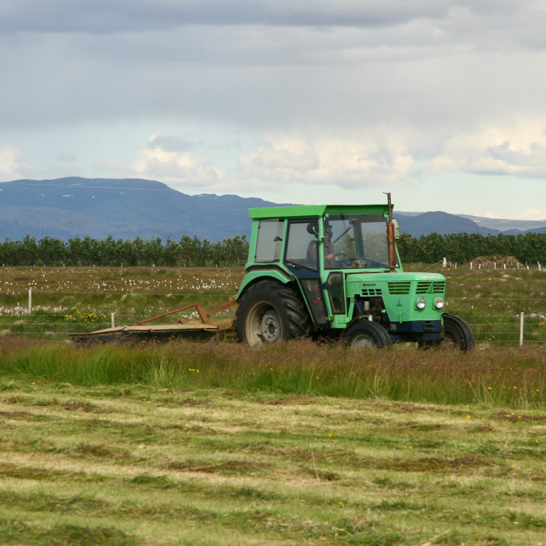 Móttaka hirðingarsýna hafin