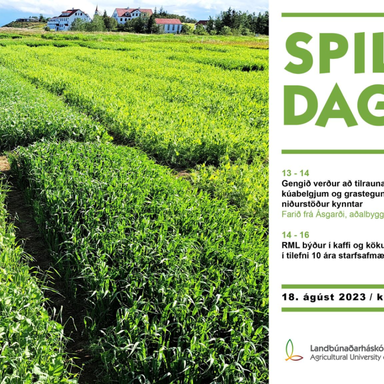 Spildudagur LbhÍ og RML á Hvanneyri föstudaginn 18. ágúst frá kl. 13-16.  Afmæliskaffi hjá RML kl. 1…