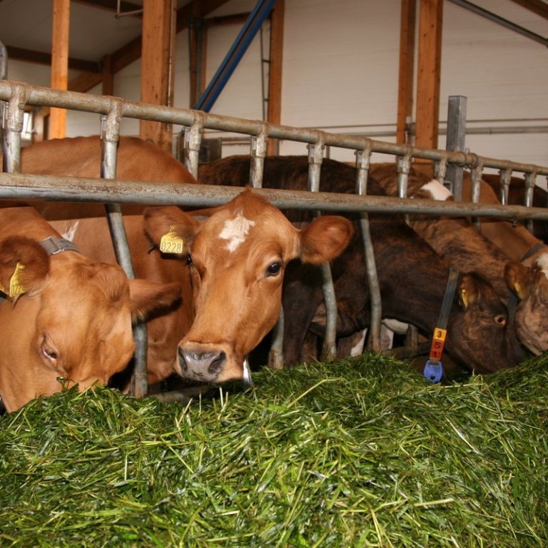 NorFor kemur vel út í samanburði