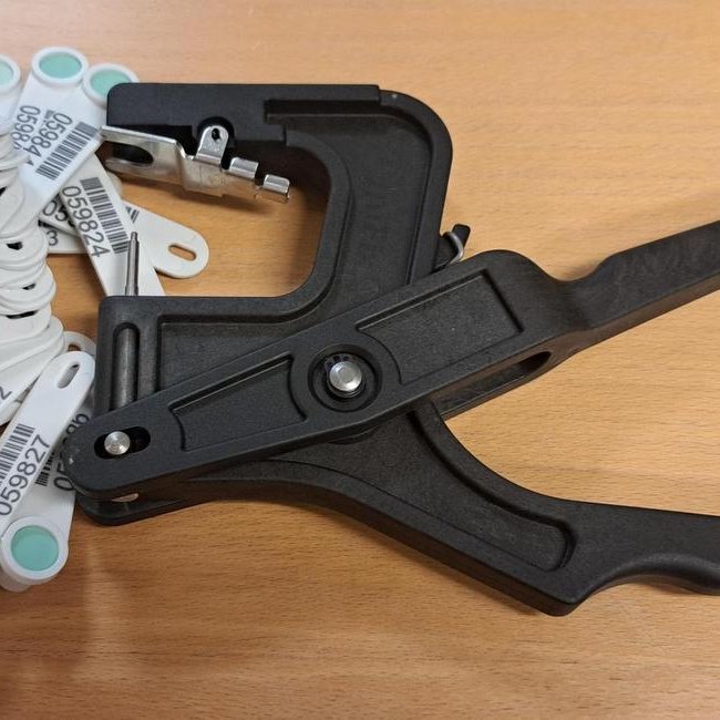 Arfgerðargreiningar sauðfjár – ÍE tekur á móti sýnum út nóvember