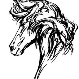 Umsóknir um styrki úr Stofnverndarsjóði íslenska hestakynsins