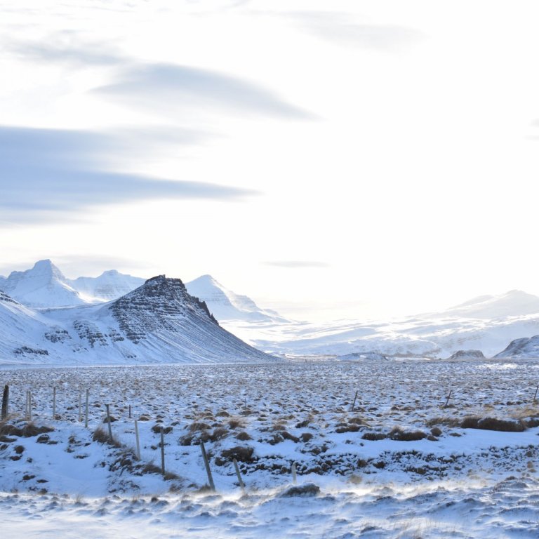 Í Borgarfirði. Ljósmynd Oddný Kristín