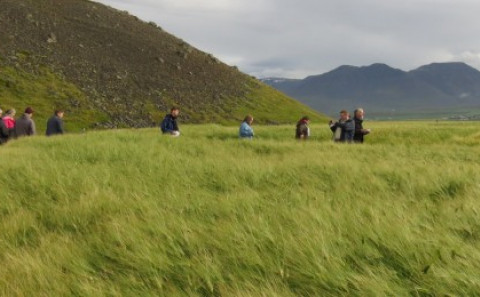 Heimsókn með ráðunautum í kornakra | Ráðgjafarmiðstöð landbúnaðarins