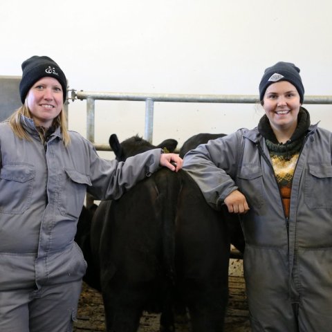 Gagnaöflun til kynbóta – Ómmælingar á holdablendingum