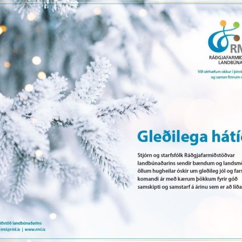 Opnunartími um jól og áramót og viðvera á skrifstofum RML