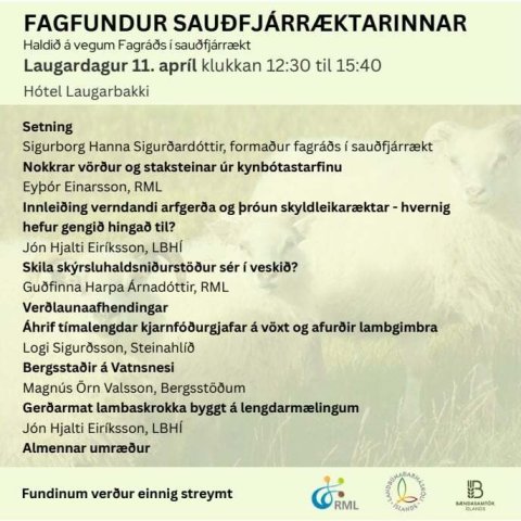 Fagfundur sauðfjárræktarinnar