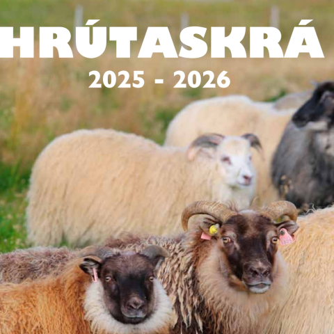 Spaði og Harry ekki í boði