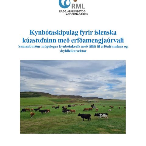 Kynbótaskipulag fyrir íslenska kúastofninn með erfðamengjaúrvali